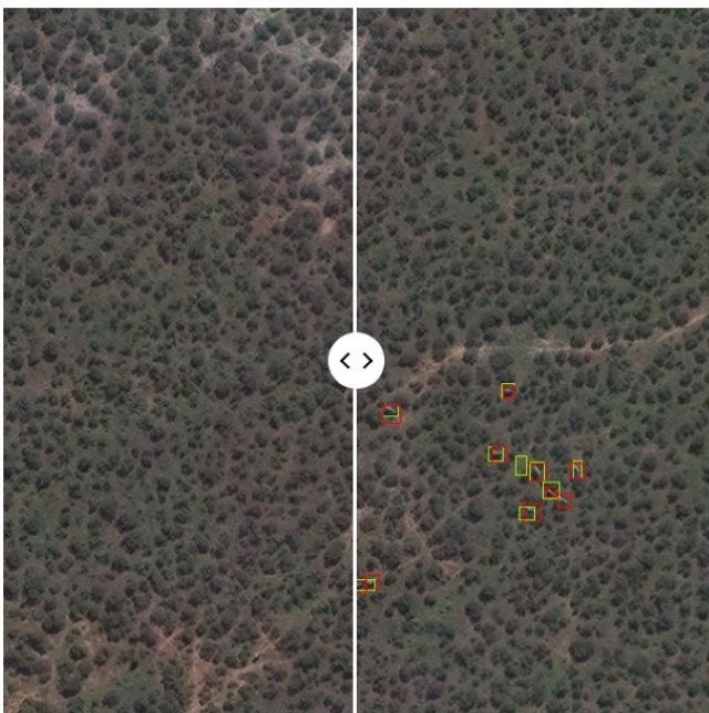 Artificial Intelligence (AI) and satellite imagery can count elephants ...