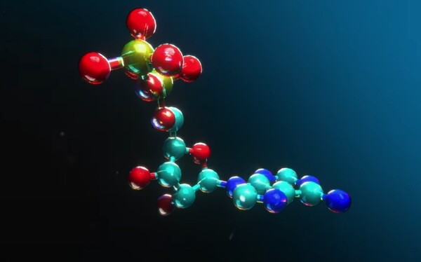 엔비디아가 AWS에 신약 개발 위한 헬스케어 관련 소프트웨어 도구를 지원한다고 29일 밝혔다. /엔비디아