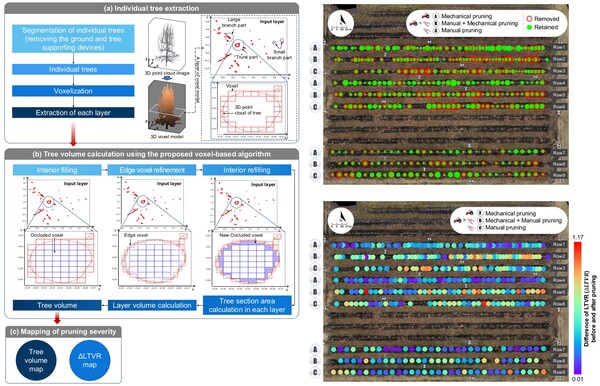 사업 책임자인 이경환 전남대 교수는 최근 과수의 가지치기 효과와 수형 상태 등을 알 수 있는 정밀 측정 기술을 개발, 국제학술지 4월호에 게재했다. /전남대