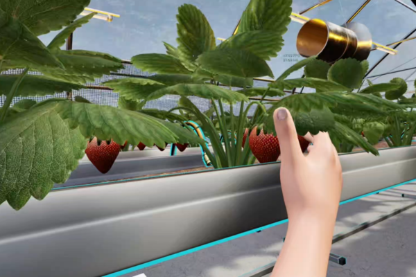 지니소프트가 10월 23일부터 25일까지 일산 킨텍스 제2전시관에서 열리는 THE AI SHOW 2024(TAS 2024)에 참여해 선보일 ‘메타버스 스마트팜’에서 사용자가 딸기를 수확하고 있다. /지니소프트