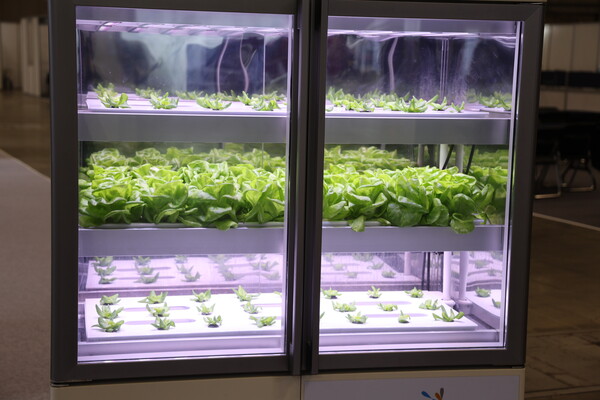 25일 방문한 ‘THE AI SHOW(TAS 2024)’ 광주정보문화산업진흥원 애그테크관 플랜티팜이 전시한  소형 재배기. /구아현 기자