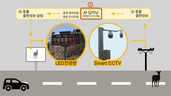 포스코그룹이 AI 기술을 활용해 야생동물과 운전자를 동시에 보호하는 ‘동물 찻길 사고 예방 및 모니터링 시스템’을 개발했다. /포스코