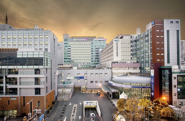 부산대학교병원 전경. /부산대병원