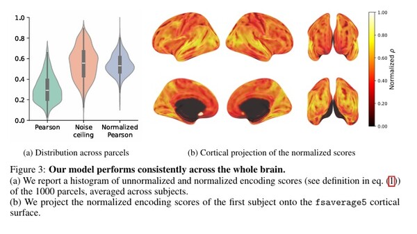 TRIBE AI의 뇌 전체 예측 성능. (좌) 1,000개 뇌 영역별 예측 정확도 분포, (우) 뇌 표면에 투영한 예측 성능 지도. 뇌 전 영역에서 고른 성능을 보였다. /메타 논문 캡처