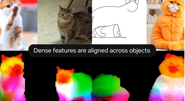 메타가 라벨링 작업 없이 17억 개의 이미지로 훈련한 비전 파운데이션 모델 ‘다이노(DINO)v3’를 공개했다. /메타 블로그 캡처