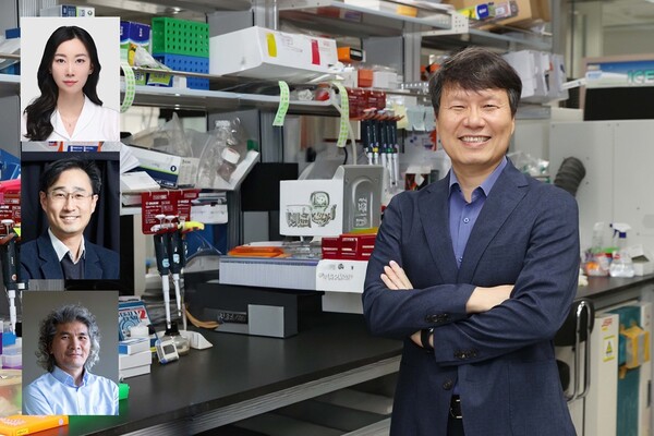 (왼쪽 위부터) 현보배 KAIST 박사, 김대수 KAIST 교수, 이창준 IBS 단장, 허원도 KAIST 교수(오른쪽). /KAIST