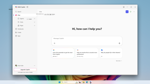 마이크로소프트(MS) 코파일럿. /MS