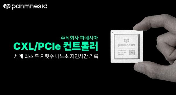 파네시아가 제작한 CXL/PCIe 컨트롤러 칩. /파네시아
