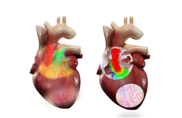 버추얼 트윈 환경에서는 심장이 뛰는 방식, 혈류의 흐름, 판막의 움직임까지 모두 시뮬레이션된다. /다쏘시스템