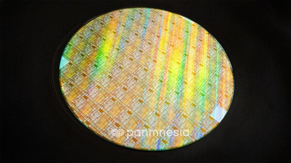 파네시아의 스위치 샘플이 포함된 웨이퍼. /파네시아