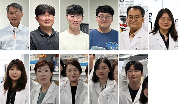 (왼쪽부터 위) 최경철 KAIST 교수, 노병주 KAIST 박사, 정영훈 KAIST 박사과정, 박민우 KAIST 석박통합과정, 구자욱 한국뇌연구원 박사, 이지윤 한국뇌연구원 연구원, 이지은 한국뇌연구원 연구원, 허향숙 한국뇌연구원 박사, 이현주 한국뇌연구원 박사, 강소라 한국뇌연구원 박사, 오석준 한국뇌연구원 연구원. /KAIST